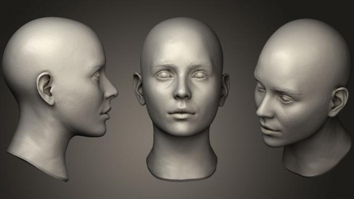 نموذج ثلاثي الأبعاد لآلة CNC تشريح الهياكل العظمية والجماجم رأس أنثى 3